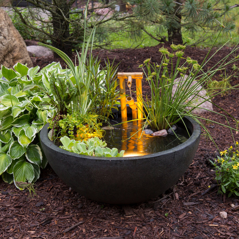 Ebern Designs Precilla Aquatic Patio Pond Pot Planter & Reviews Wayfair